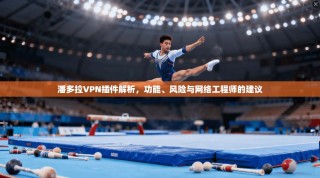潘多拉VPN插件解析，功能、风险与网络工程师的建议