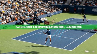 Padavan固件下搭建VPN服务的完整指南，从配置到优化