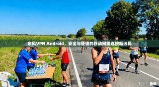 东风VPN Android，安全与便捷的移动网络连接新选择