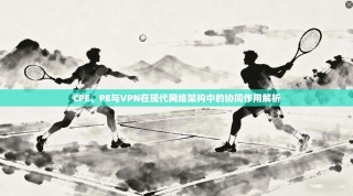 CPE、PE与VPN在现代网络架构中的协同作用解析