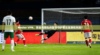 Mester VPN，安全与隐私的数字守护者还是潜在风险？