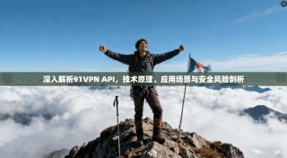 深入解析91VPN API，技术原理、应用场景与安全风险剖析