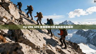 Fly VPN APK 使用指南与安全风险深度解析