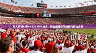 深入解析Enlink SSL VPN技术，安全远程访问的现代解决方案