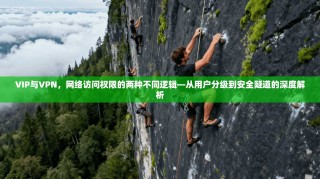VIP与VPN，网络访问权限的两种不同逻辑—从用户分级到安全隧道的深度解析