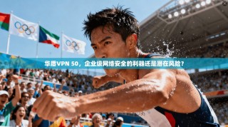 华盾VPN 50，企业级网络安全的利器还是潜在风险？