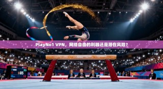 PlayNo1 VPN，网络自由的利器还是潜在风险？