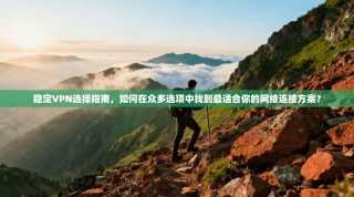 稳定VPN选择指南，如何在众多选项中找到最适合你的网络连接方案？