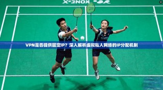 VPN是否提供固定IP？深入解析虚拟私人网络的IP分配机制