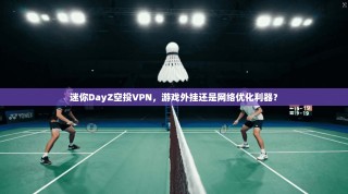 迷你DayZ空投VPN，游戏外挂还是网络优化利器？