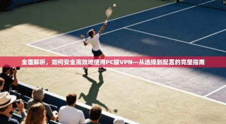 全面解析，如何安全高效地使用PC版VPN—从选择到配置的完整指南