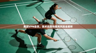 黑洞VPN会员，技术优势与使用风险全解析