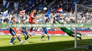 219年可用的VPN服务推荐与技术解析，如何在合规前提下安全上网