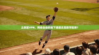土拨鼠VPN，网络自由的地下通道还是数字陷阱？