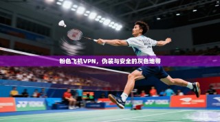 粉色飞机VPN，伪装与安全的灰色地带