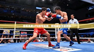 警惕免费VPN账号陷阱，网络安全不容忽视