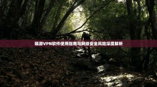 嘻游VPN软件使用指南与网络安全风险深度解析
