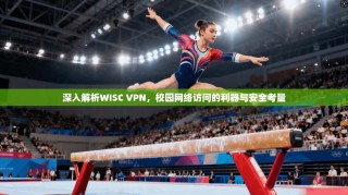 深入解析WISC VPN，校园网络访问的利器与安全考量