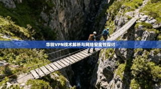 华锐VPN技术解析与网络安全性探讨