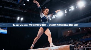 TeamViewer VPN联机全解析，远程协作的利器与潜在风险