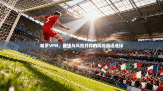哈罗VPN，便捷与风险并存的网络隧道选择