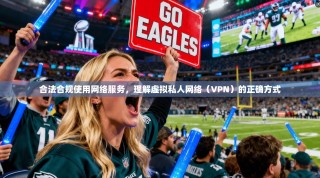 合法合规使用网络服务，理解虚拟私人网络（VPN）的正确方式