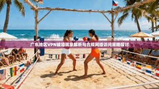 广东地区VPN被墙现象解析与合规网络访问策略探讨