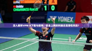 深入解析VPN-X下载与使用，安全上网的利器还是潜在风险？