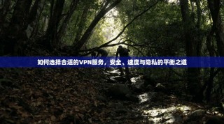 如何选择合适的VPN服务，安全、速度与隐私的平衡之道