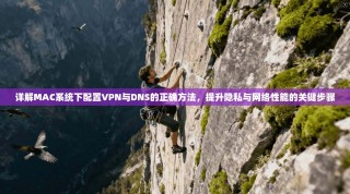 详解MAC系统下配置VPN与DNS的正确方法，提升隐私与网络性能的关键步骤