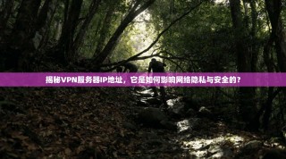 揭秘VPN服务器IP地址，它是如何影响网络隐私与安全的？