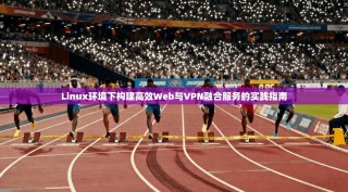 Linux环境下构建高效Web与VPN融合服务的实践指南