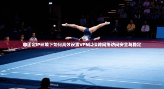 非固定IP环境下如何高效设置VPN以保障网络访问安全与稳定