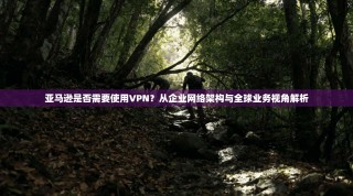 亚马逊是否需要使用VPN？从企业网络架构与全球业务视角解析