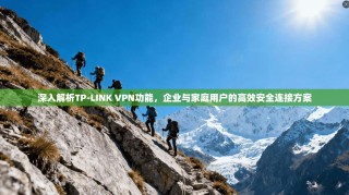 深入解析TP-LINK VPN功能，企业与家庭用户的高效安全连接方案