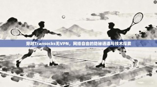 穿越Transocks无VPN，网络自由的隐秘通道与技术探索