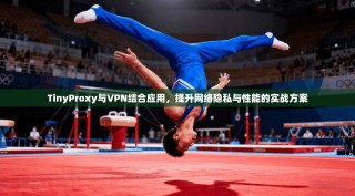 TinyProxy与VPN结合应用，提升网络隐私与性能的实战方案