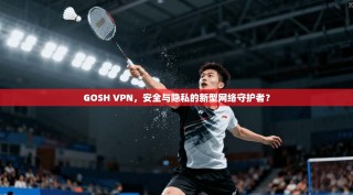 GOSH VPN，安全与隐私的新型网络守护者？