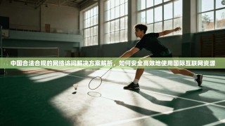 中国合法合规的网络访问解决方案解析，如何安全高效地使用国际互联网资源