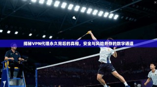 揭秘VPN代理永久背后的真相，安全与风险并存的数字通道