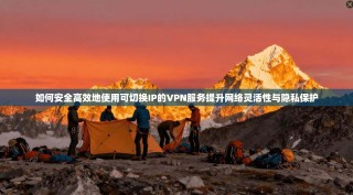 如何安全高效地使用可切换IP的VPN服务提升网络灵活性与隐私保护