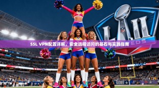 SSL VPN配置详解，安全远程访问的基石与实践指南