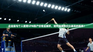 企业级与个人使用VPN账户价格全解析，如何选择性价比最高的服务？