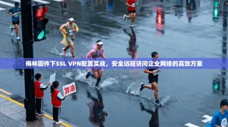 梅林固件下SSL VPN配置实战，安全远程访问企业网络的高效方案