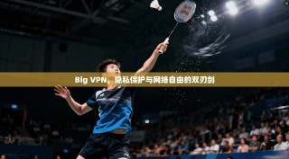 Big VPN，隐私保护与网络自由的双刃剑
