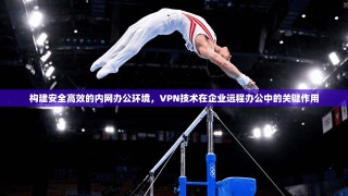 构建安全高效的内网办公环境，VPN技术在企业远程办公中的关键作用