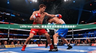 Little Star VPN，便捷与安全的网络连接新选择？