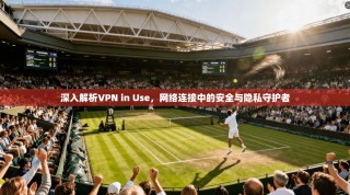 深入解析VPN in Use，网络连接中的安全与隐私守护者
