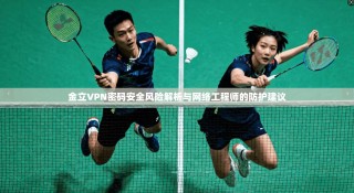 金立VPN密码安全风险解析与网络工程师的防护建议