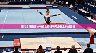 国内合法登记VPN的合规性与网络安全挑战分析
